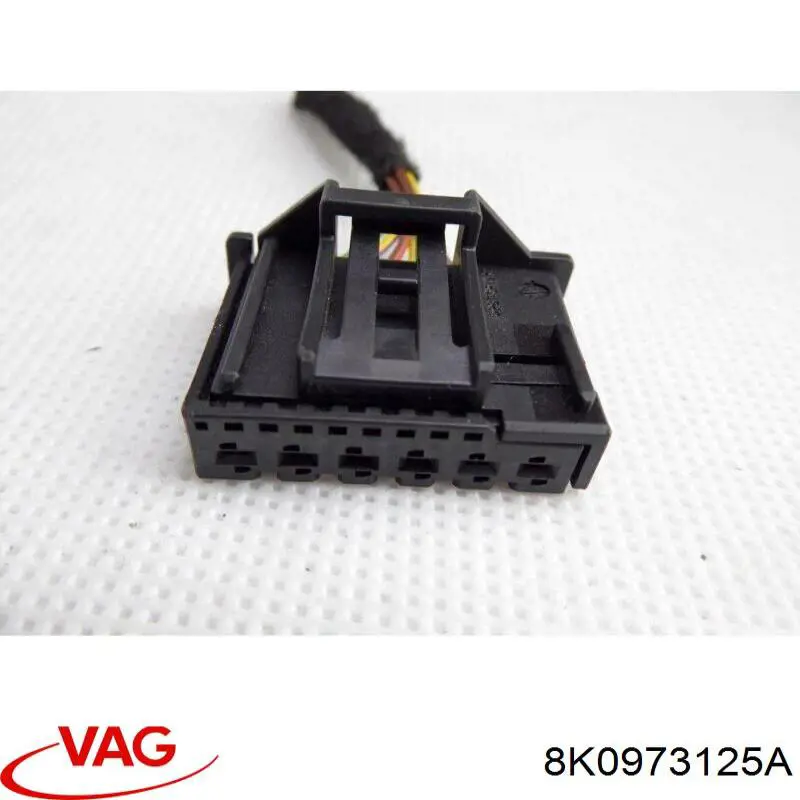  VAG 8K0973125A