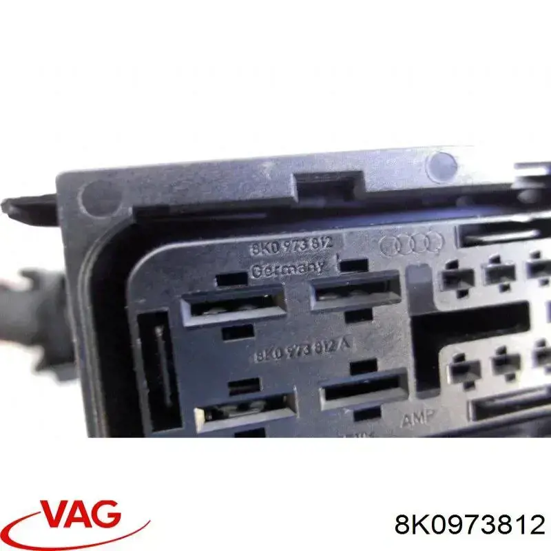  VAG 8K0973812