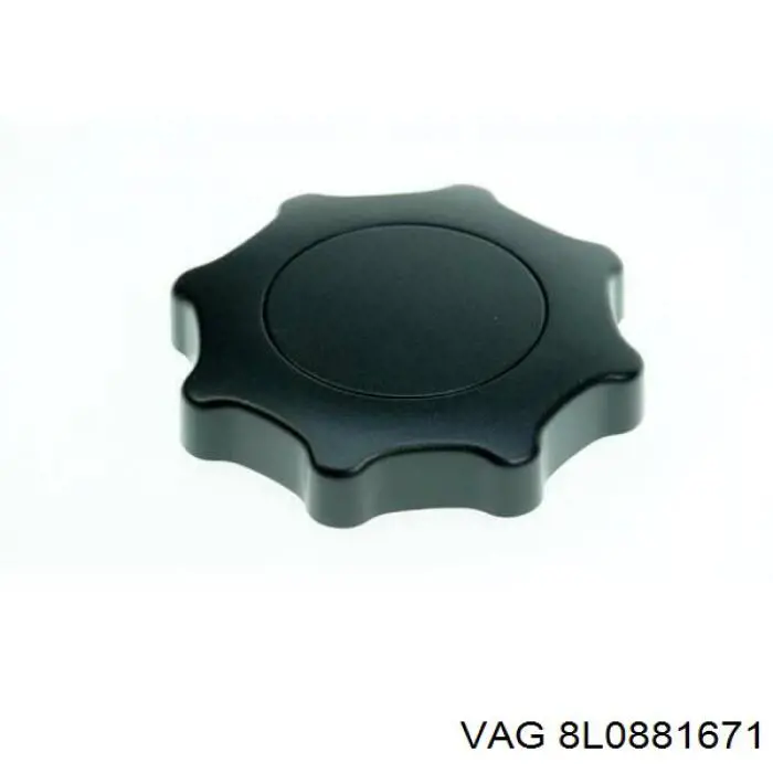  8L0881671 VAG