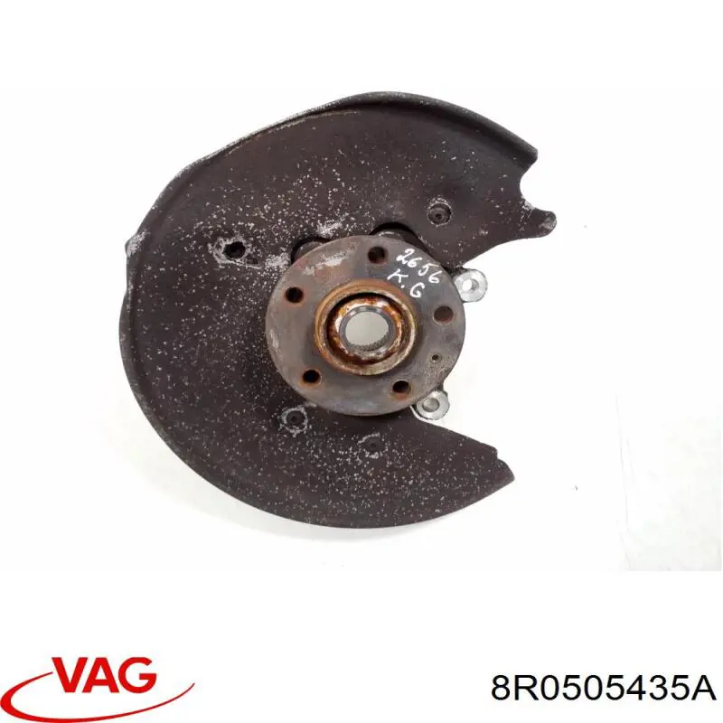 Купить 8R0505435A VAG Цапфа (поворотный кулак) задний левый
