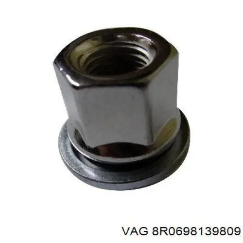 Купить 8R0698139809 VAG 
