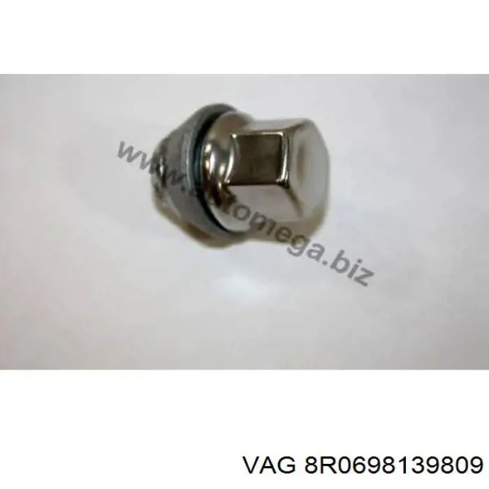  VAG 8R0698139809 цена, от 60.37 USD