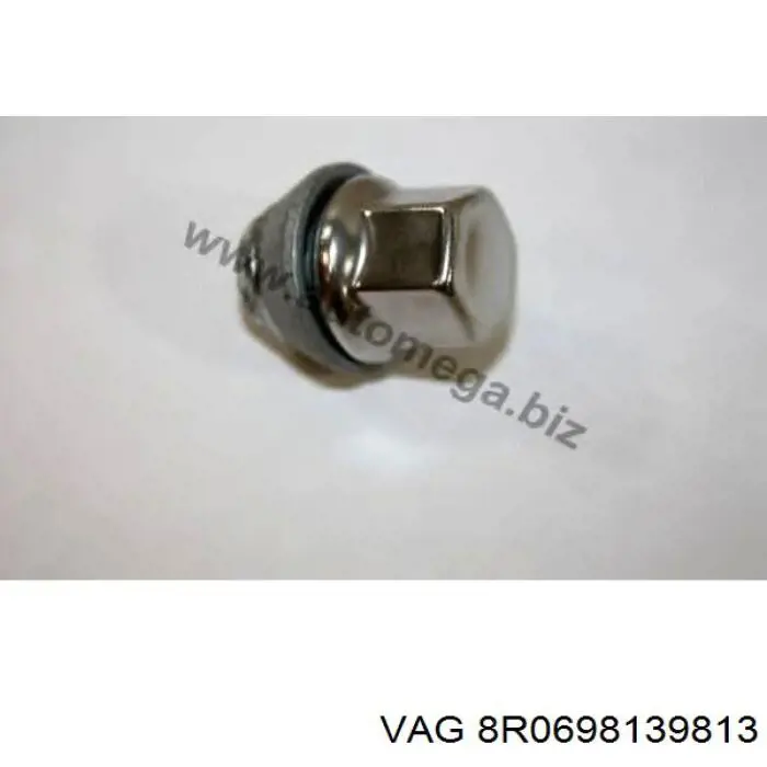  8R0698139813 VAG