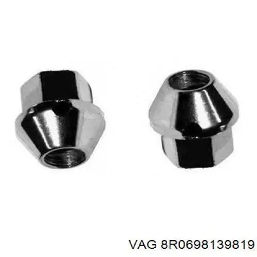  VAG 8R0698139819