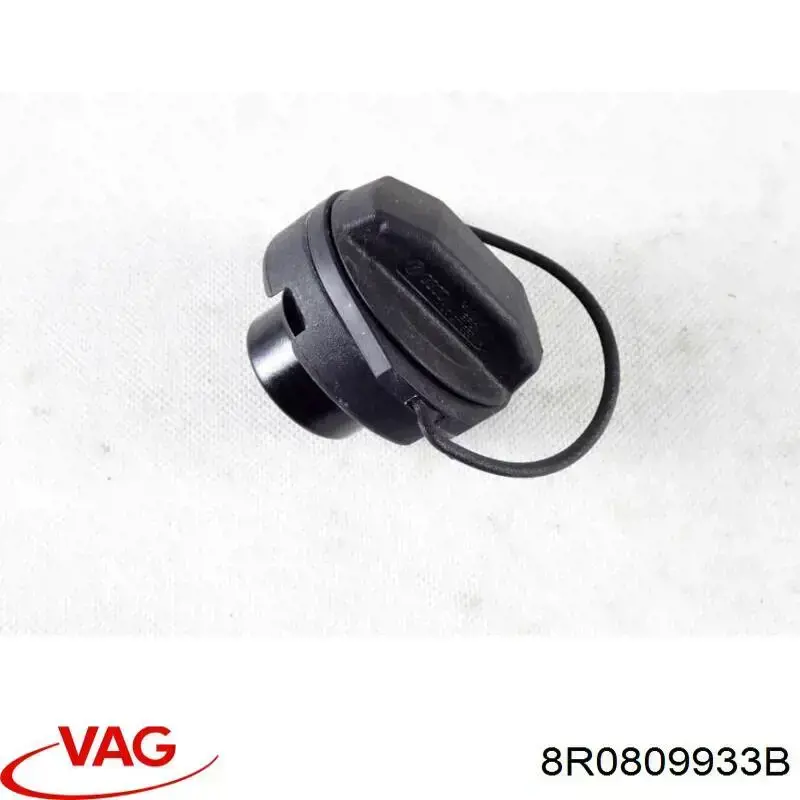 8R0809933B VAG 