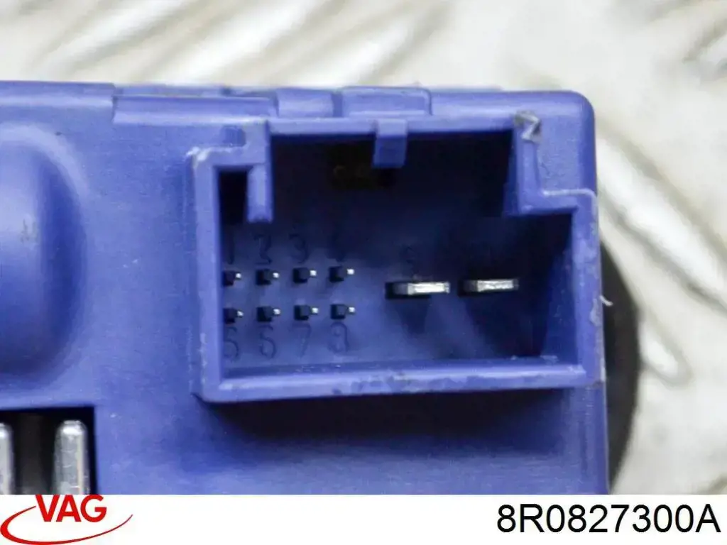 8R0827300A VAG Петля двери задней (багажной 3/5-й)