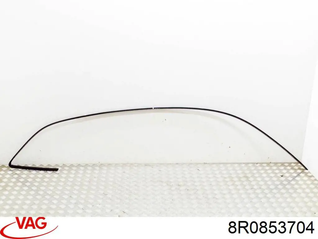 Молдинг крыши правый VAG 8R0853704B2ZZ цена, от 38.01 USD