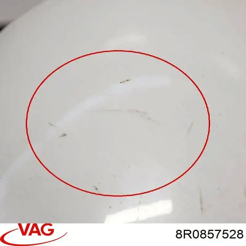 Купить 30200892 TYC Накладка/крышка зеркала заднего вида, правая