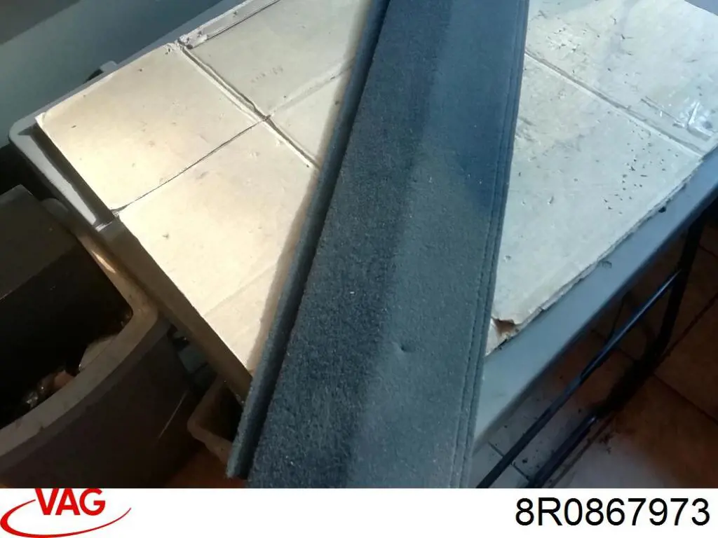 Купить 8R0867973 VAG 