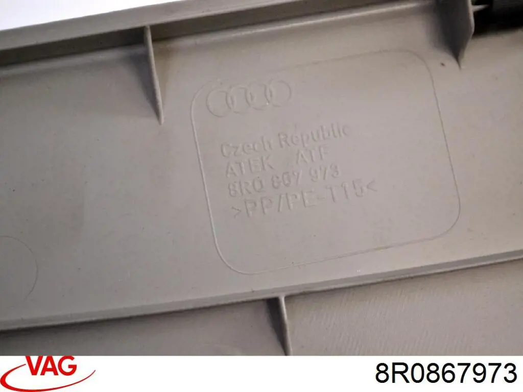  8R0867973 VAG