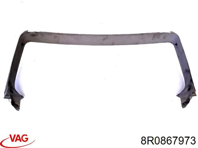  VAG 8R0867973