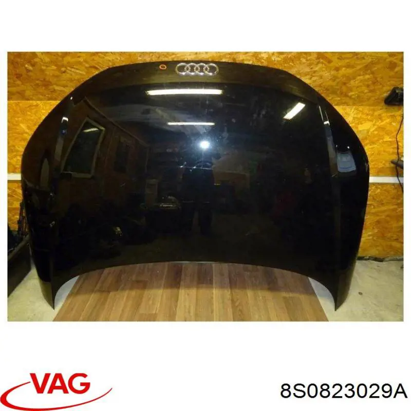 8S0823029B VAG 