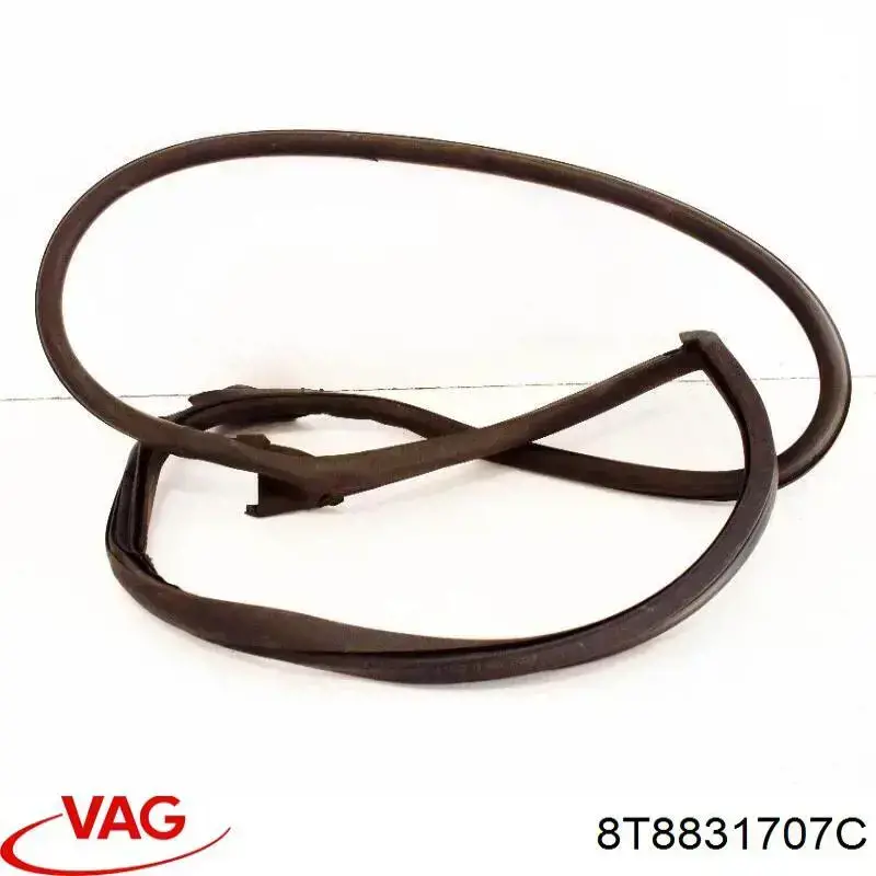  8T8831707C VAG