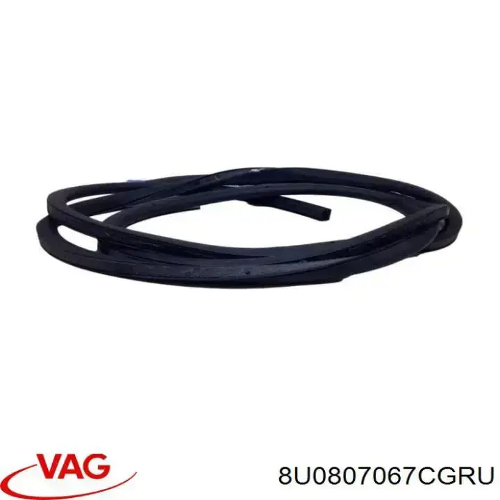 Купить 8U0807067CGRU VAG Верхняя часть заднего бампера