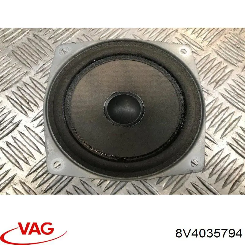  VAG 8V4035794
