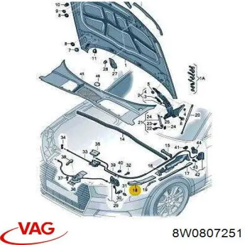 Абсорбер переднего бампера PAD99064OL Signeda