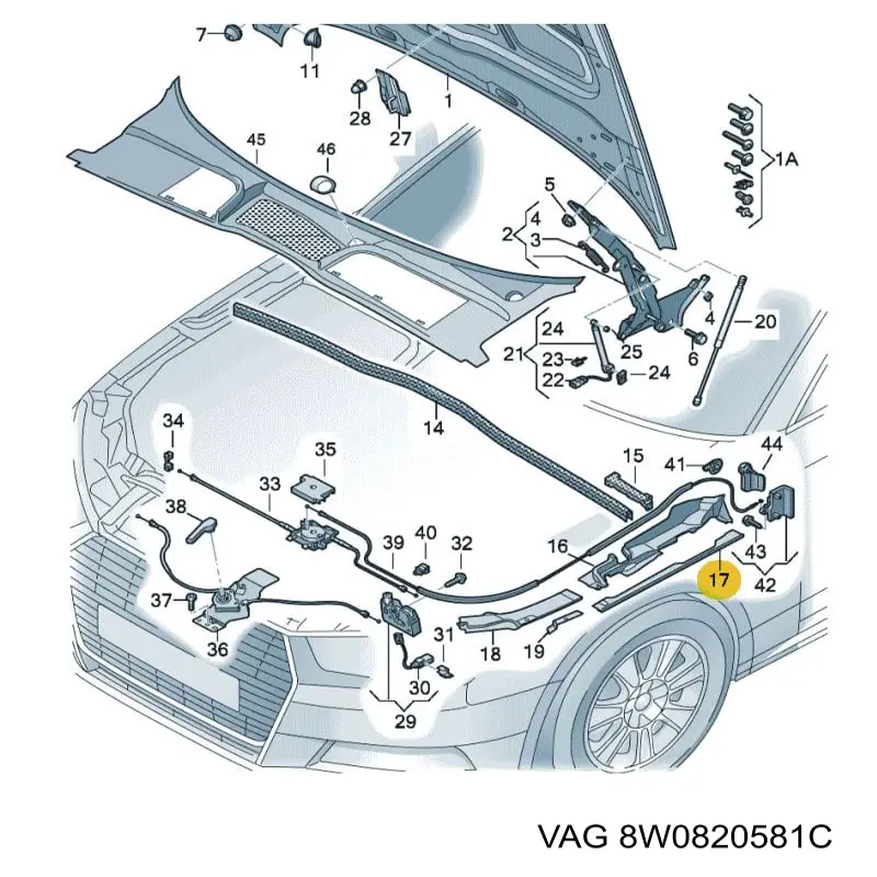 Заглушка жабо боковая VAG 8W0820581C
