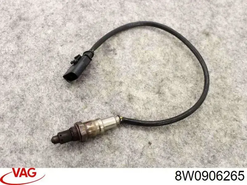  8W0906265 VAG