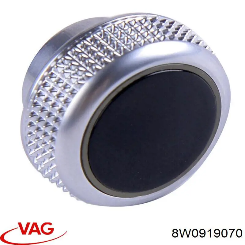 8W0919070 VAG 