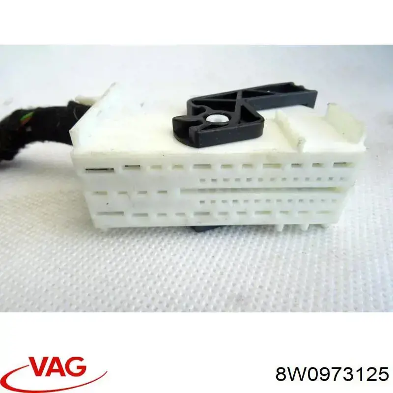  8W0973125 VAG