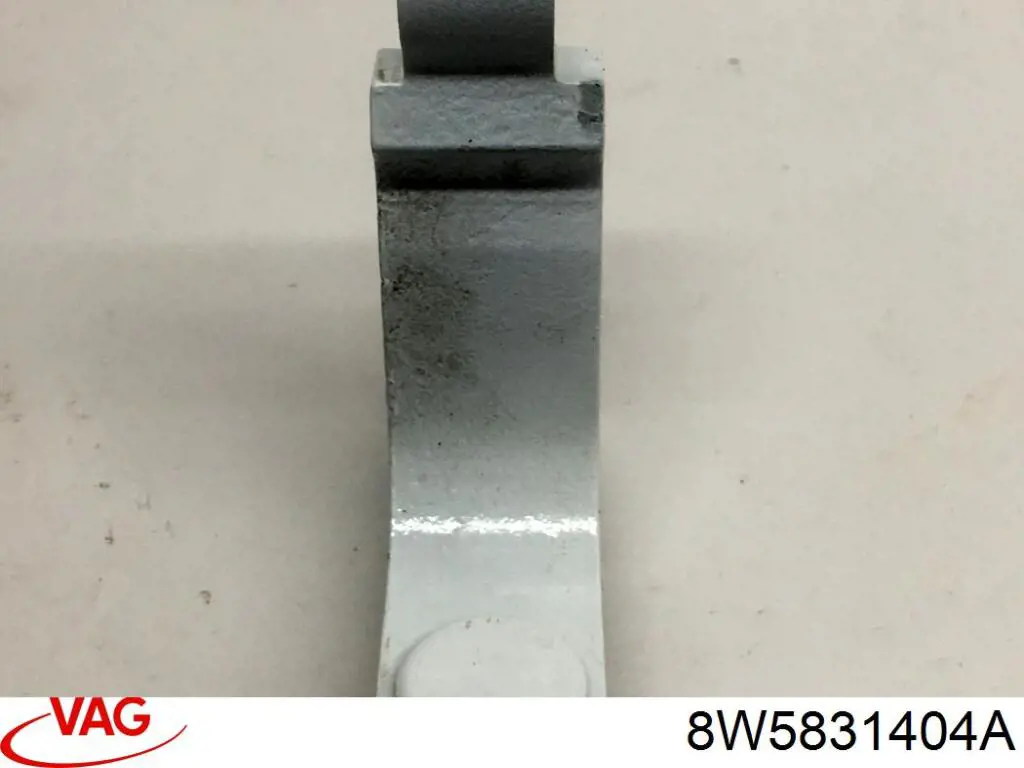 Петля двери передней правой VAG 8W5831404A