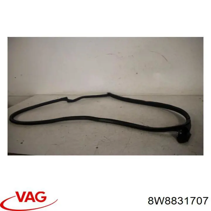 Уплотнитель двери передней левой (на кузове) VAG 8W8831707A цена, от 38.22 USD