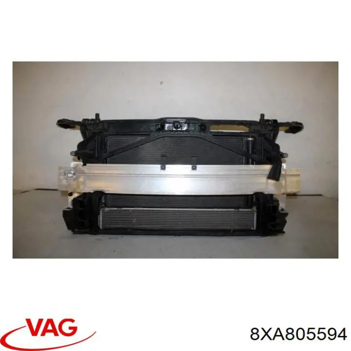 8XA805594 VAG 