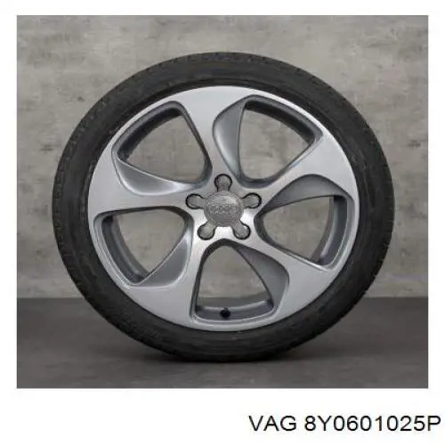 Диски VAG 8Y0601025P цена, от 1084.96 USD