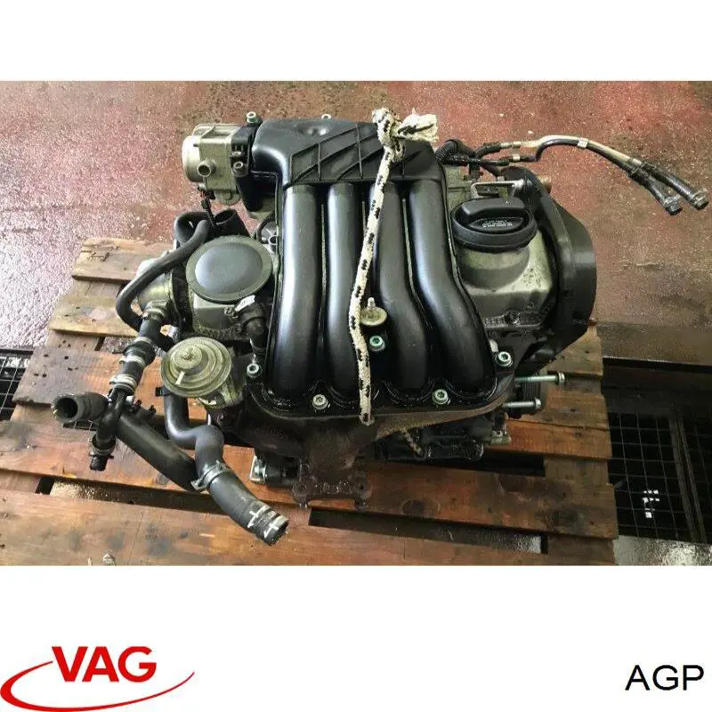 AGP VAG motor montado