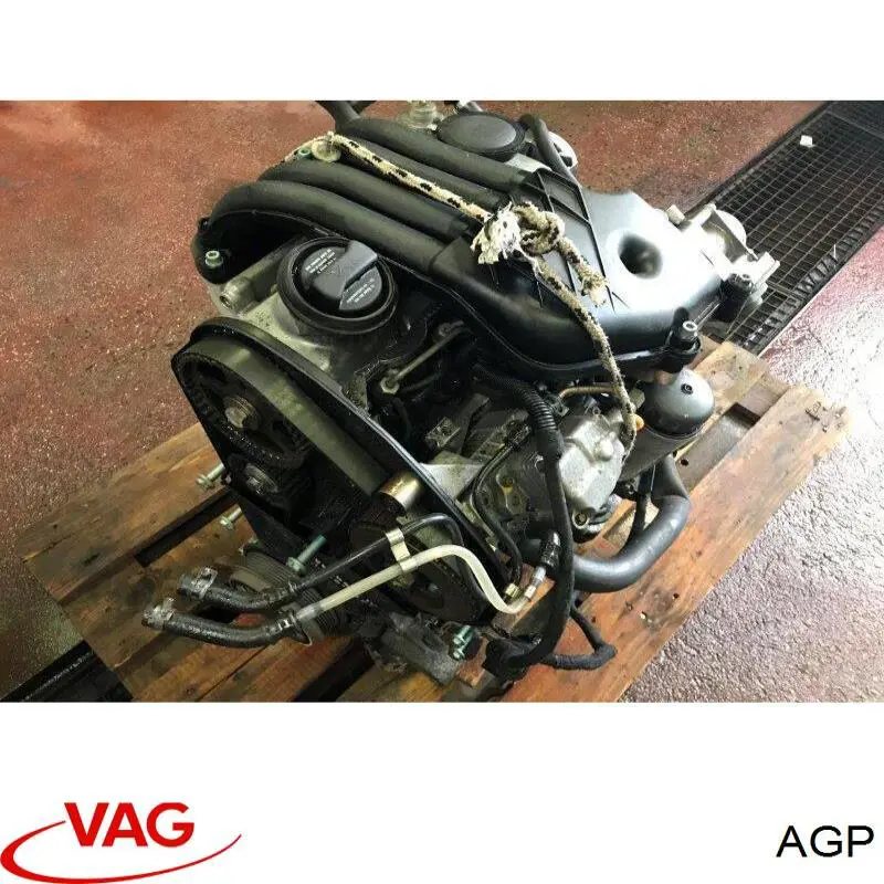 Купить AGP VAG Двигатель голый