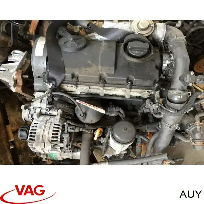 Купить AUY VAG Двигатель голый