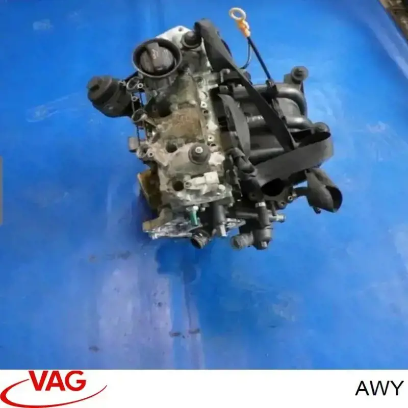 Купить AWY VAG Двигатель голый