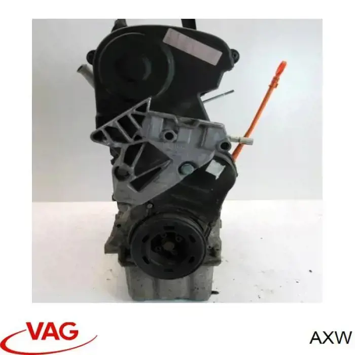 AXW VAG Motor montado