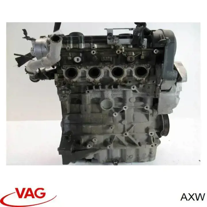 AXW VAG Motor montado