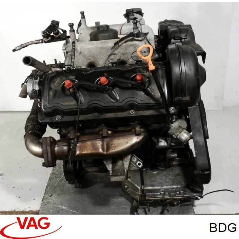 BDG VAG Мотор в сборе