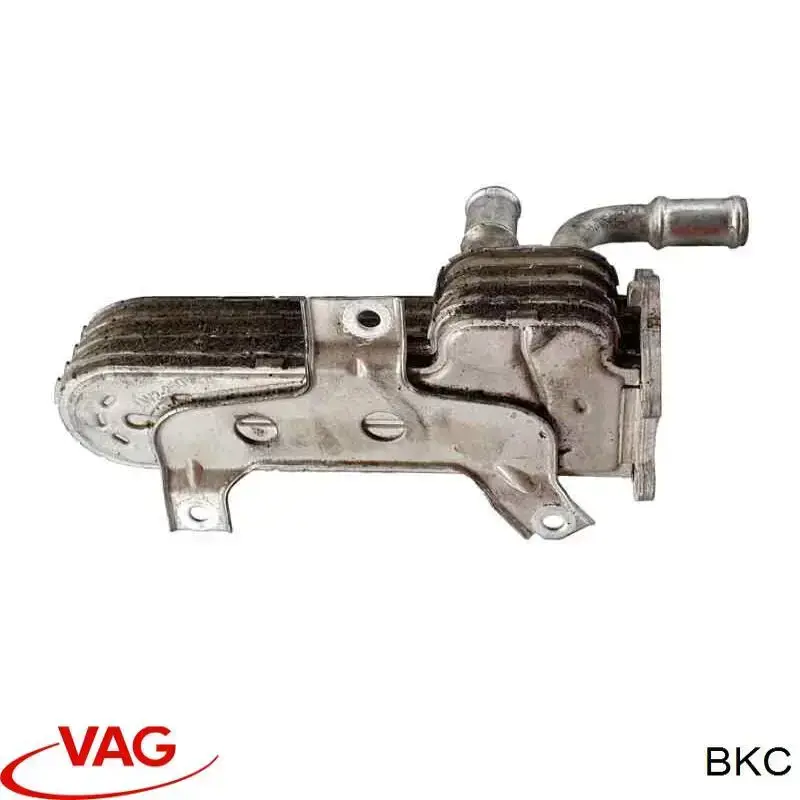 Motor montado Volkswagen Passat B6 3C5