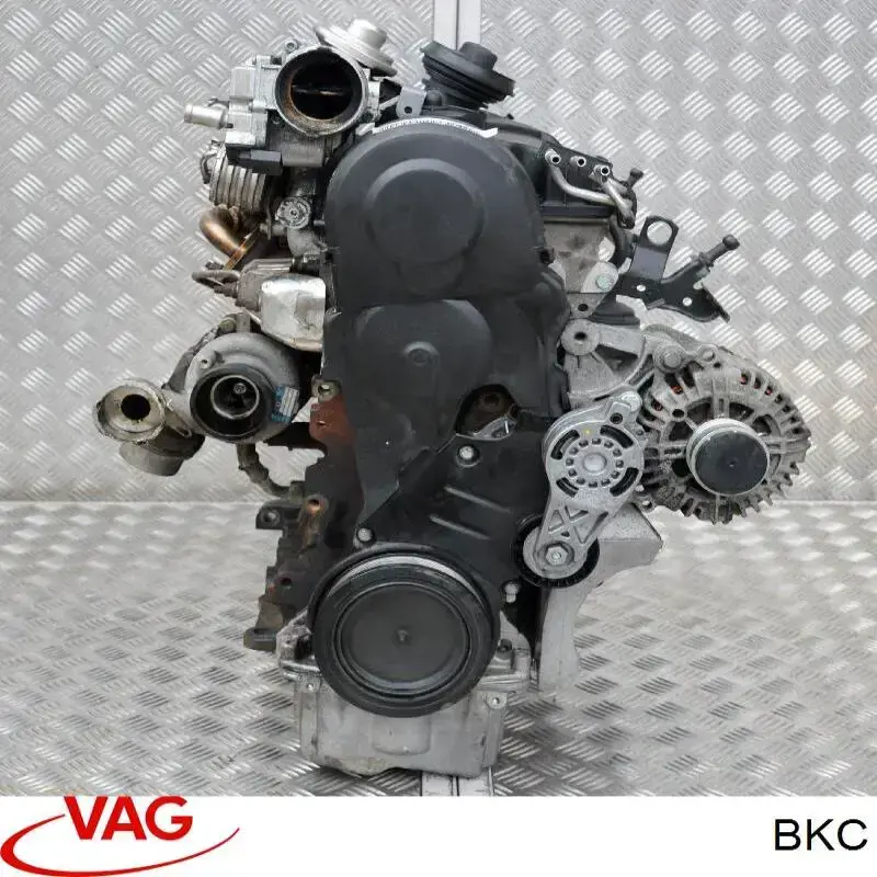 Купить BKC VAG Двигатель голый