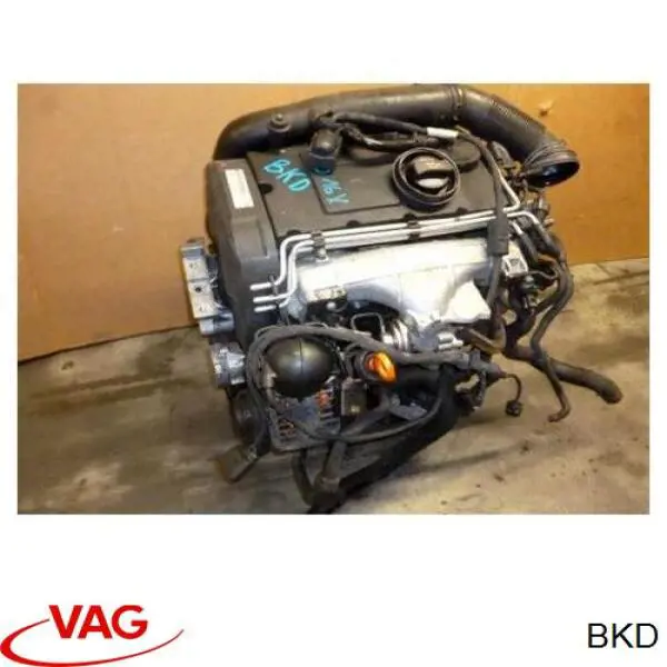 Двигатель в сборе VAG BKD