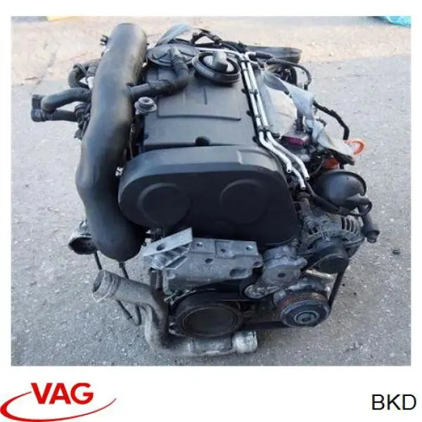 Motor montado Skoda Octavia II A5 1Z5