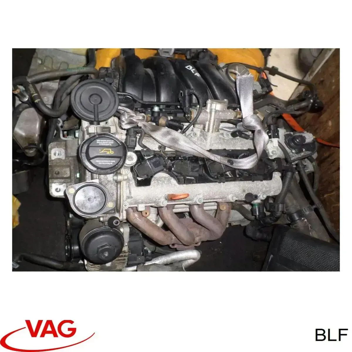 Compre BLF VAG Motor montado
