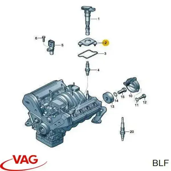 BLF VAG Motor montado