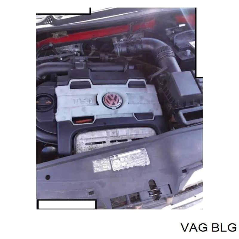 BLG VAG motor montado