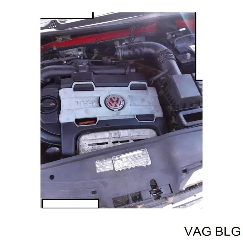 BLG VAG Motor montado