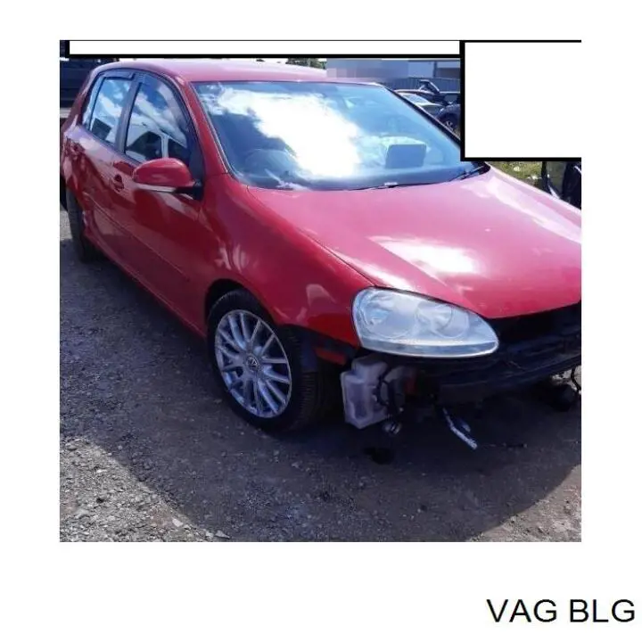 Motor montado VAG BLG