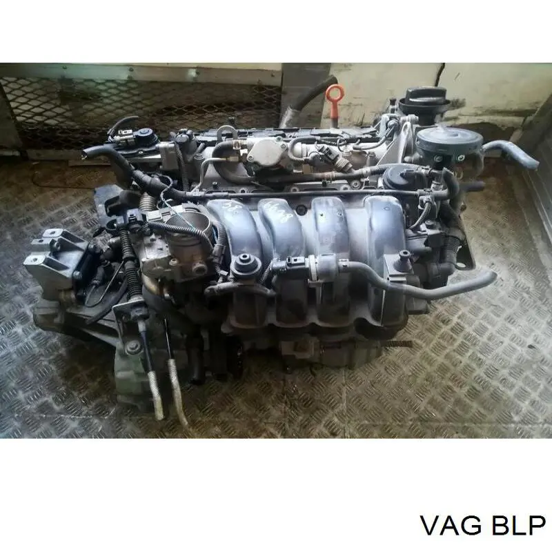 BLP VAG Мотор в сборе