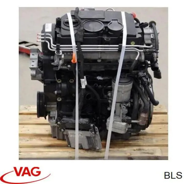 Двигатель в сборе VAG BLS