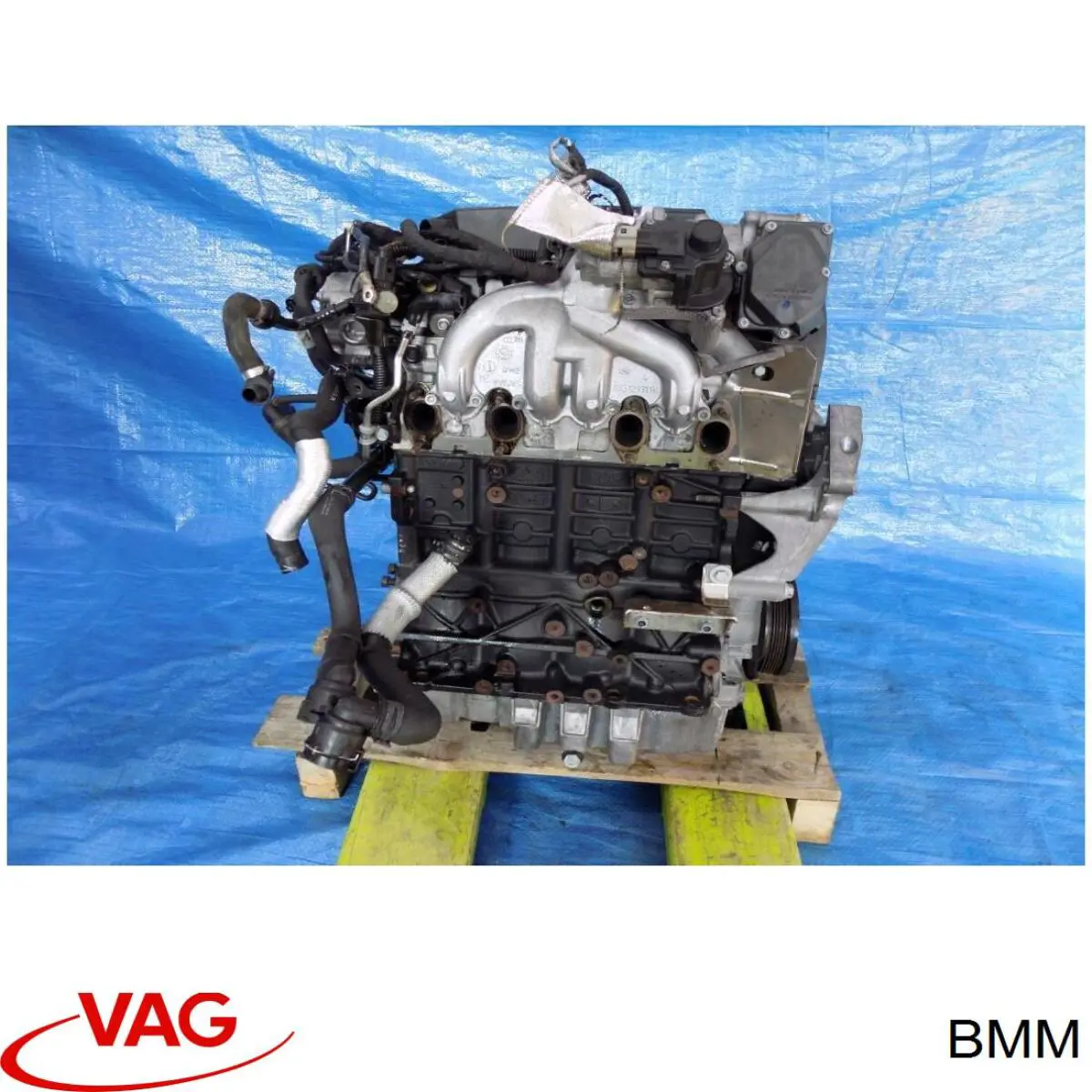 Купить BMM VAG Двигатель голый