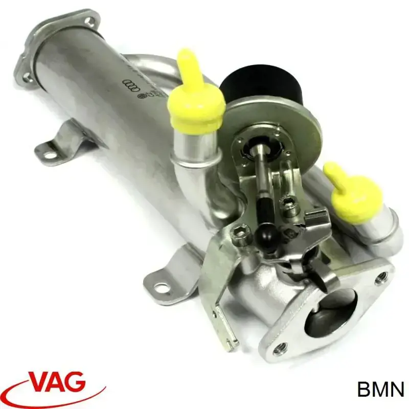 BMN VAG motor montado