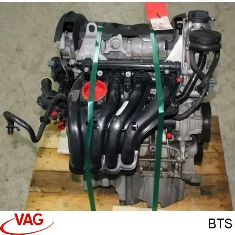 BTS VAG двигатель в сборе