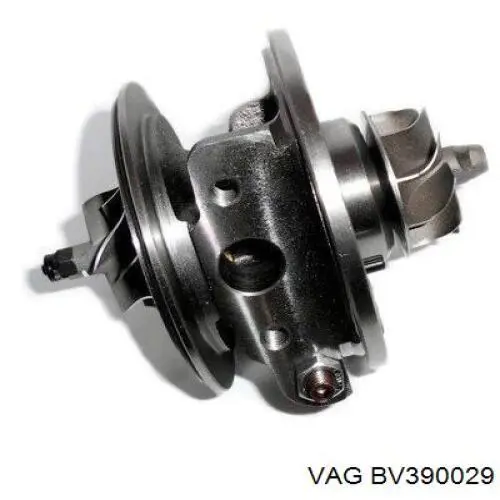  BV390029 VAG